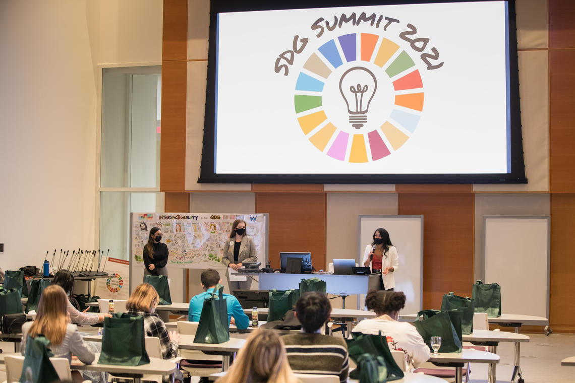 Sustainable Development Goals Summit 