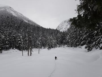 A scientist walks through the snow to the sampling station from the helicopter.