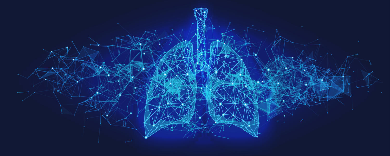 lungs