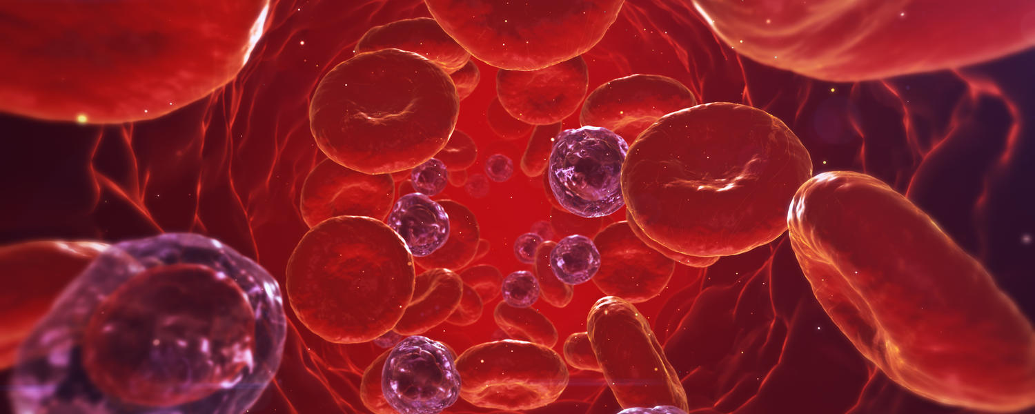 blood cells