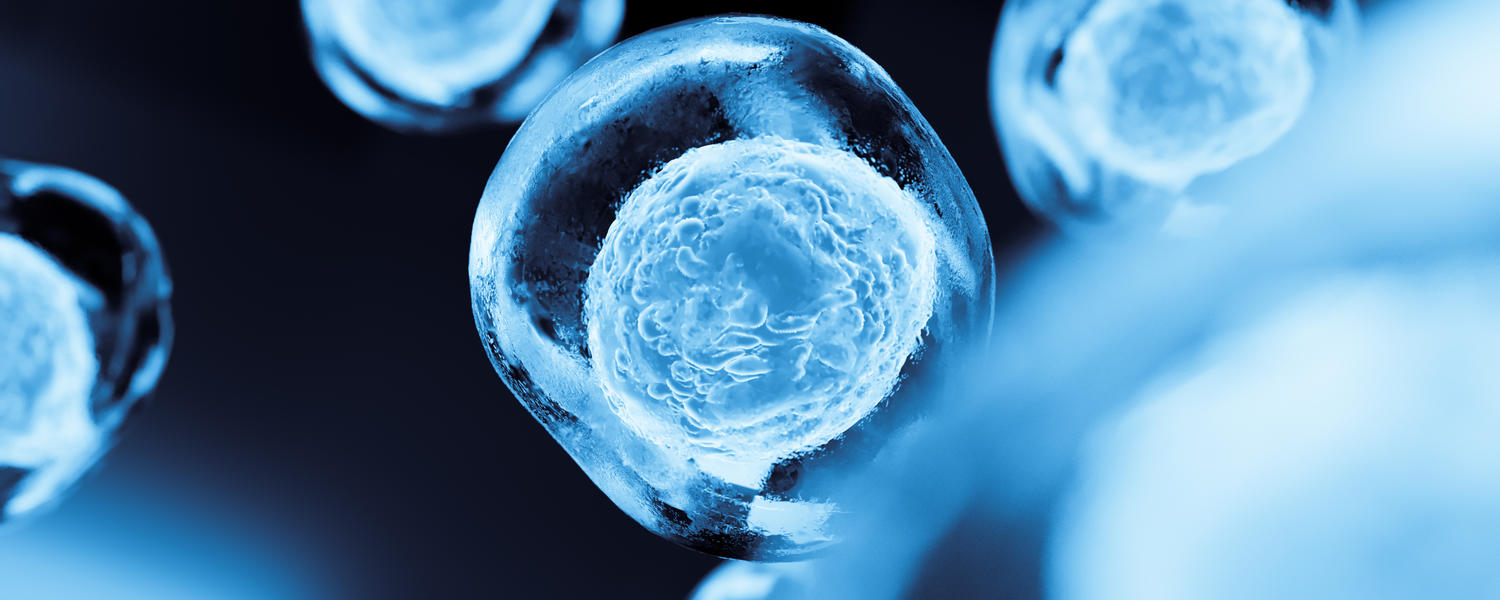 cells