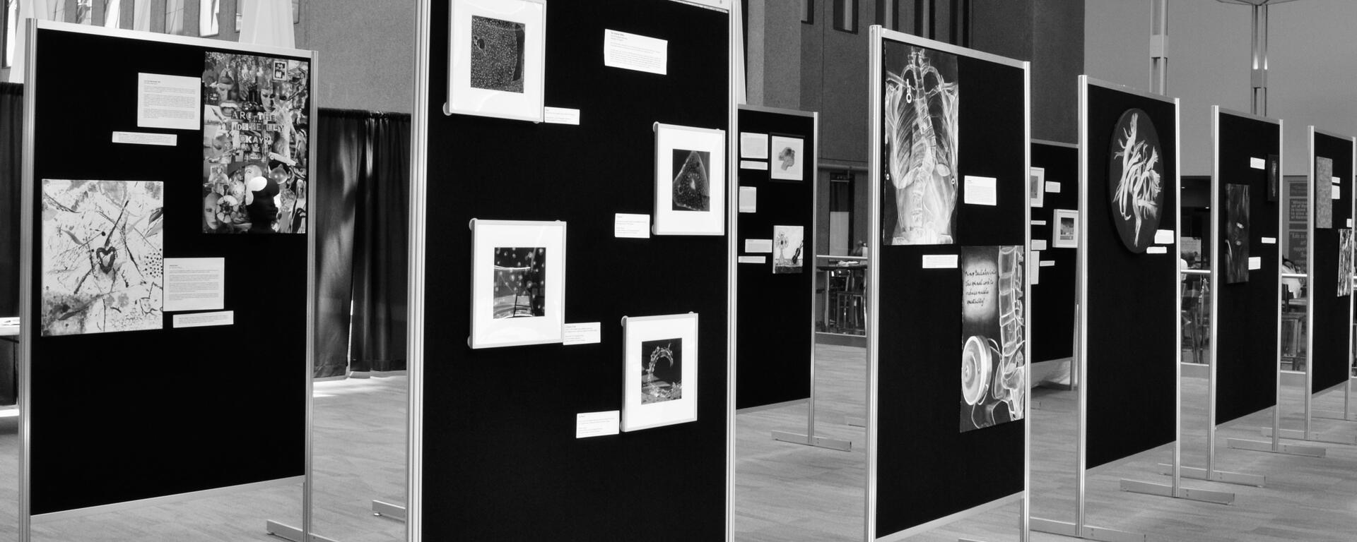 "Impressions of the Medical Sciences"