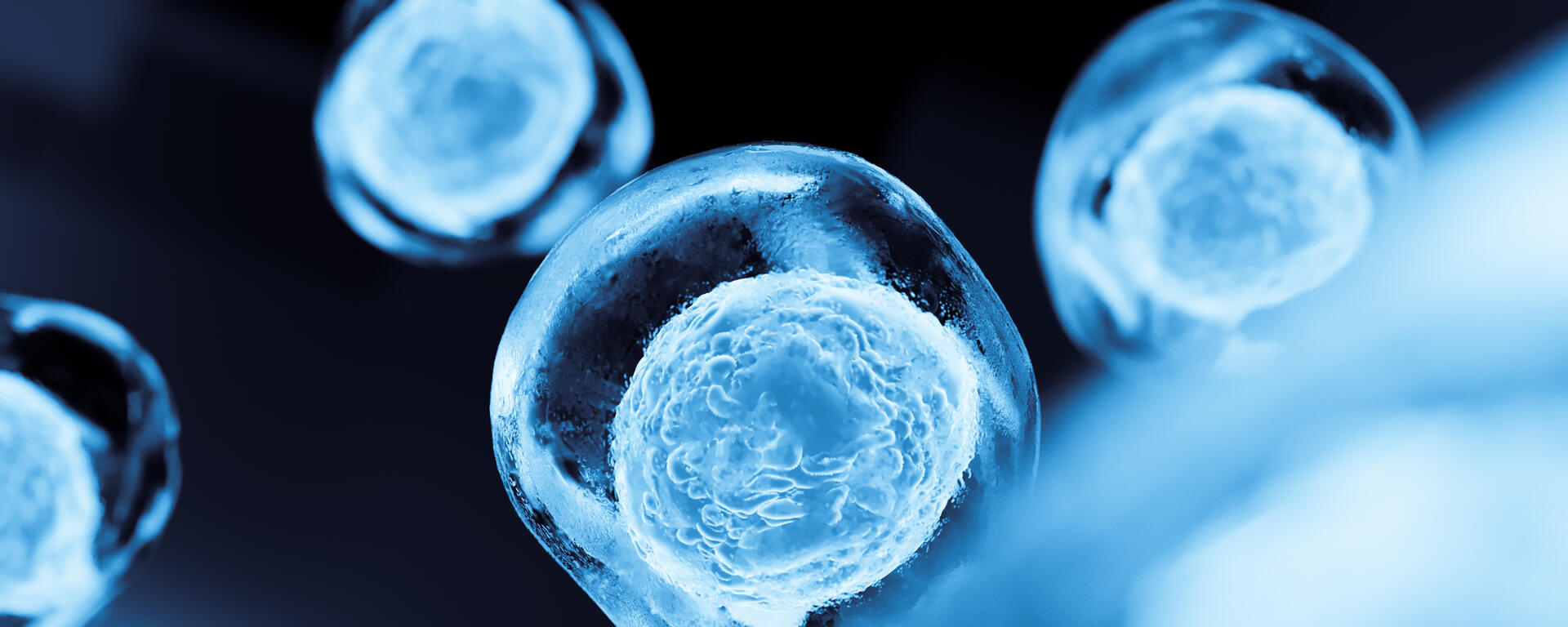 cell istock home page