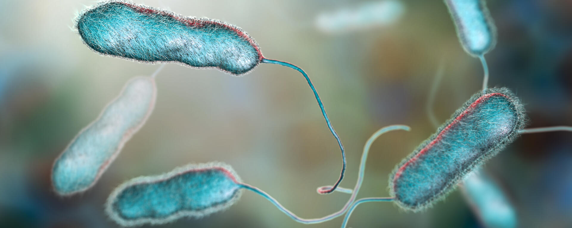 Microbial Research Group