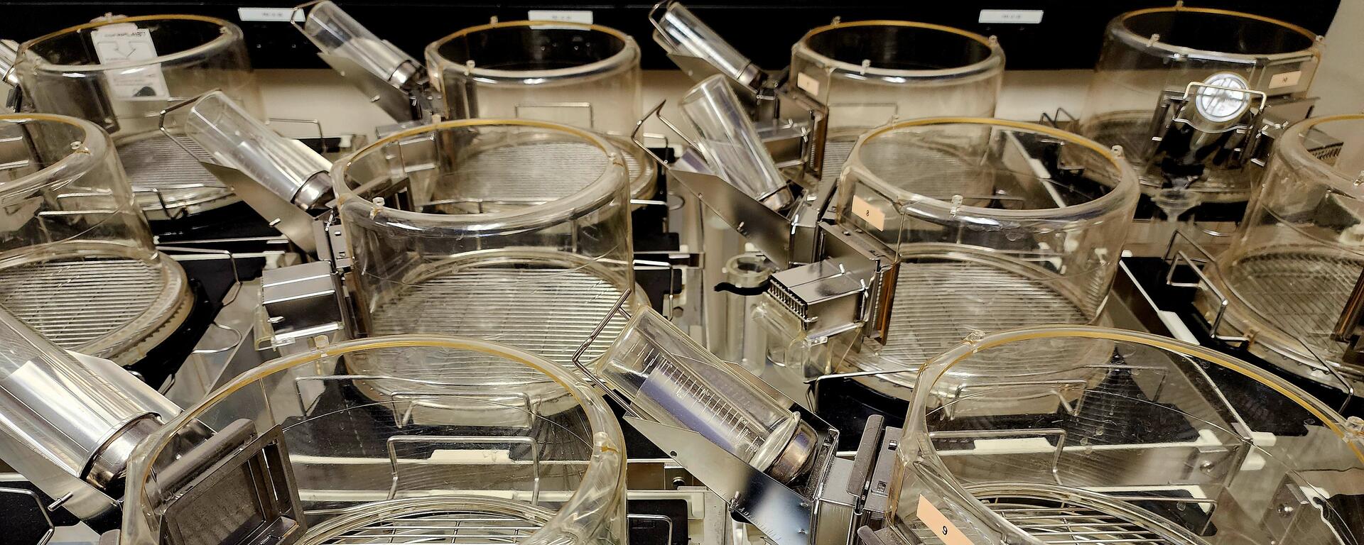 image of multiple mouse chambers