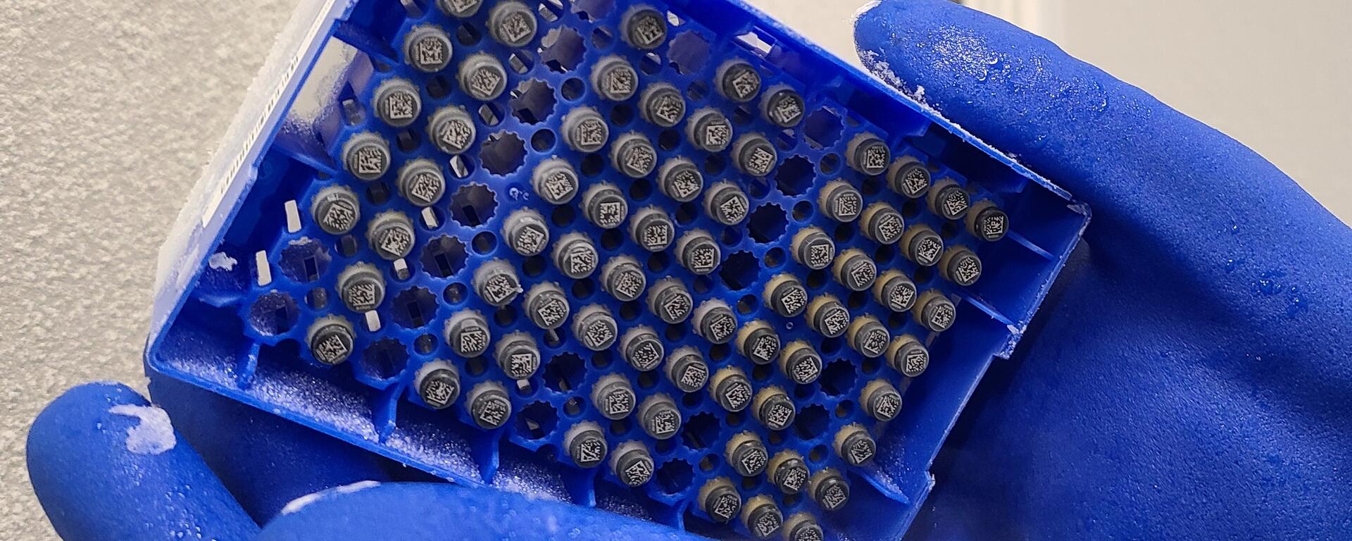 Biobanking Banner Image 