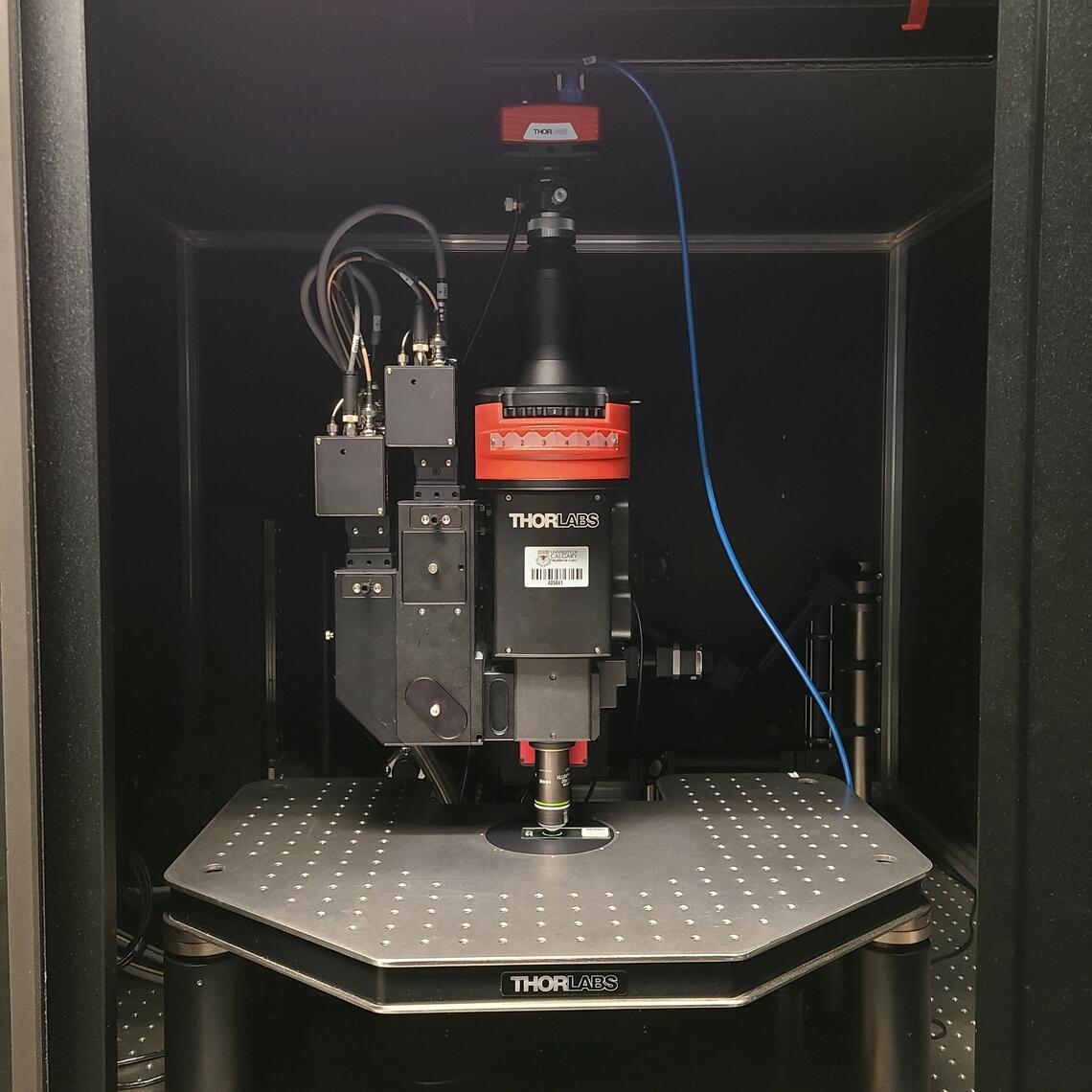 Photo of Bergamo multiphoton microscope in the LCI