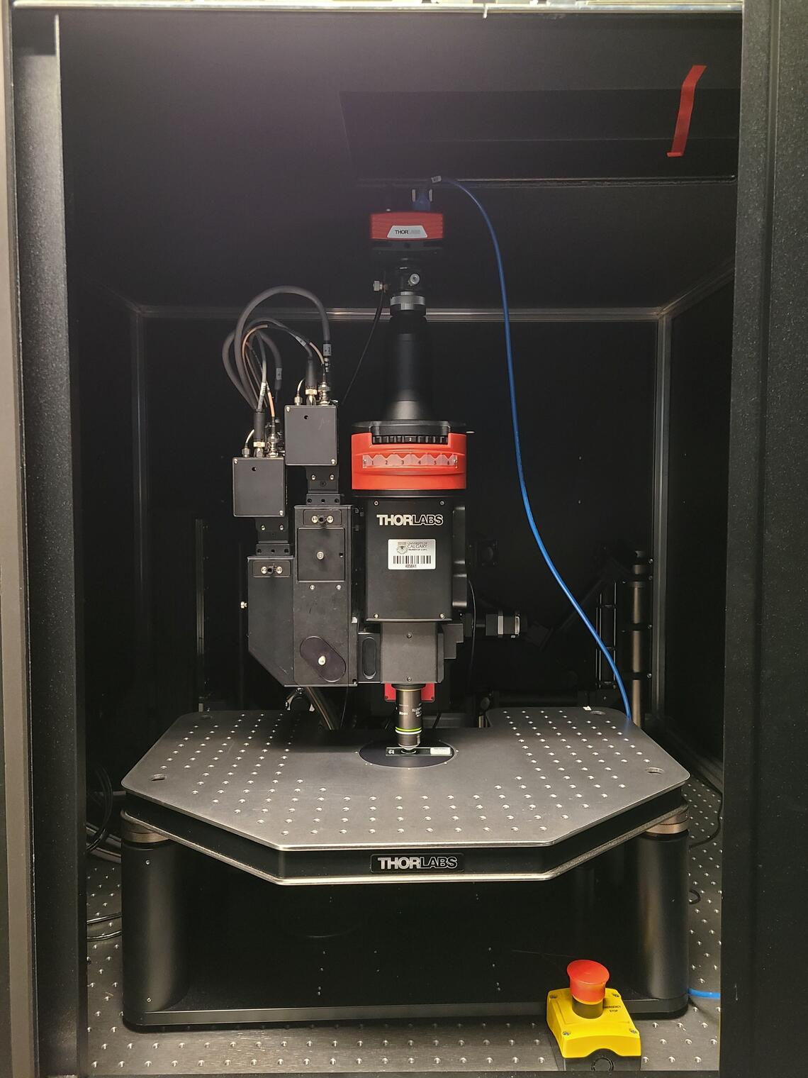Picture of Bergamo Multiphoton 