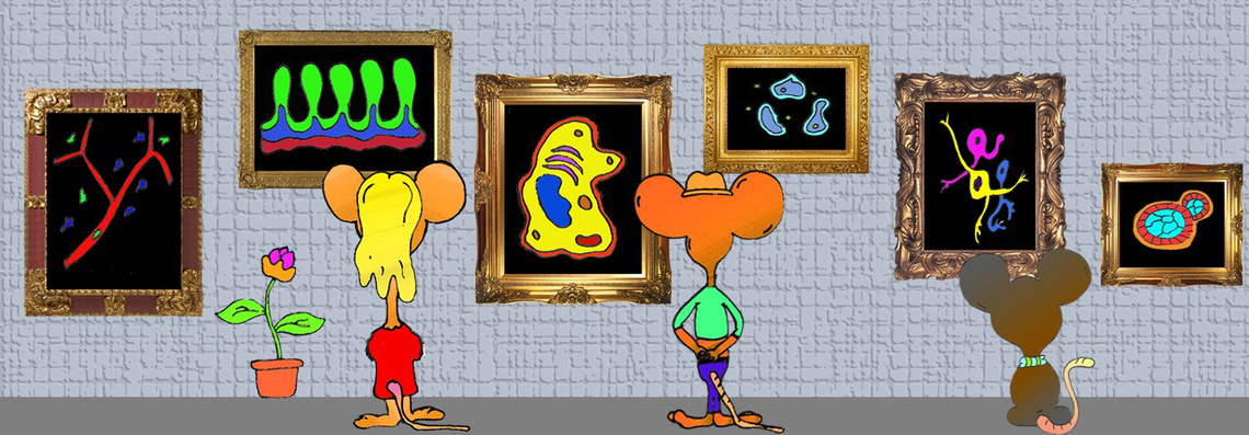 Striking Image Competition 