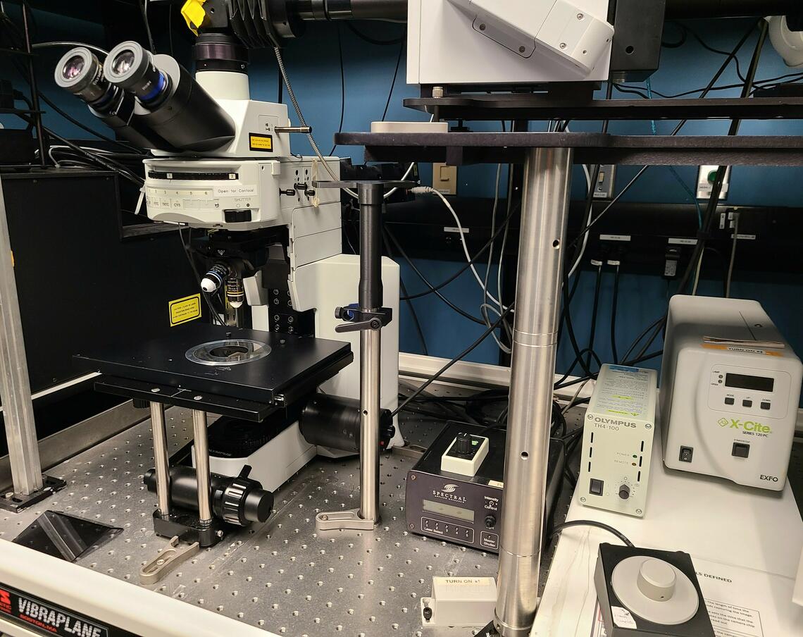 Picture of Spinning Disk Microscope