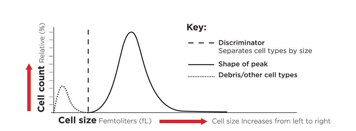 Histogram interpretation (cell size and cell count)