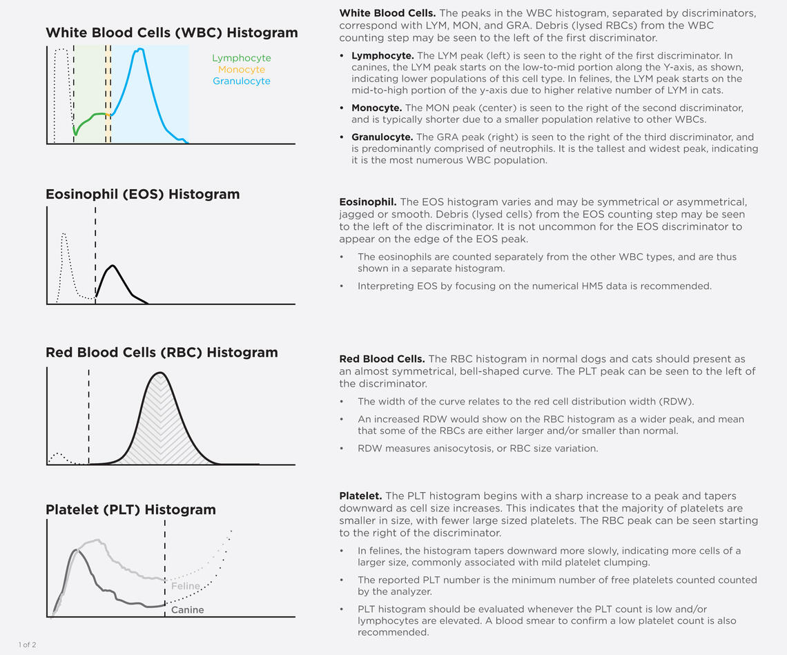 Histogram interpretation 