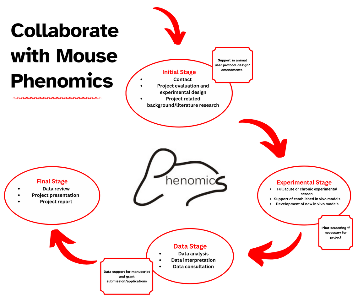 Mouse phenomics flowchart in red