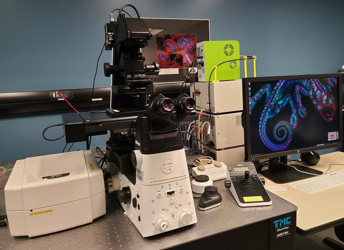 Image of Nikon A1+R