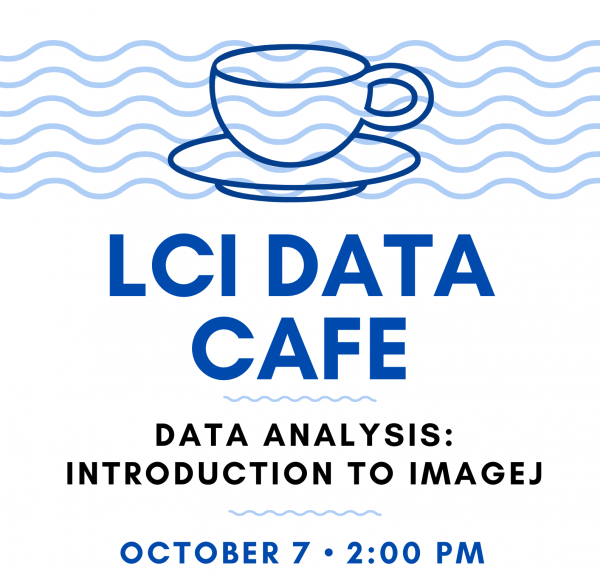 LCI Data Cafe Oct 7