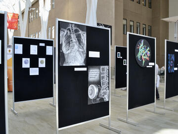 "Impressions of the Medical Sciences": An opportunity for art and science to intertwine.