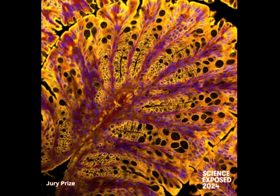 james image for science exposed 2024