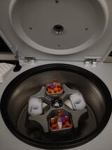 image of tube container 