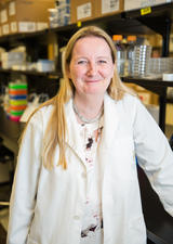 Dr. Kathy McCoy