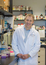 Dr. Paul Kubes