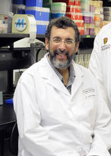 Dr. Chris Mody